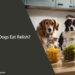 Can Dogs Eat Relish