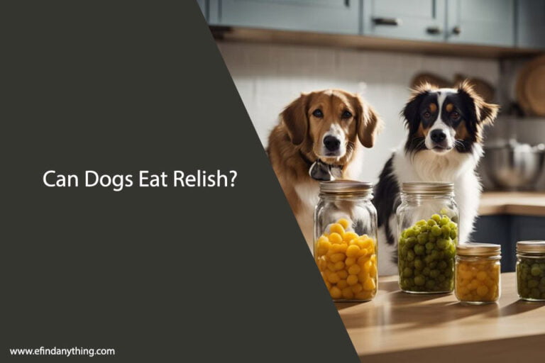 Can Dogs Eat Relish