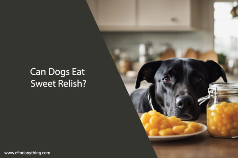 Can Dogs Eat Sweet Relish
