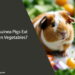 Can Guinea Pigs Eat Frozen Vegetables