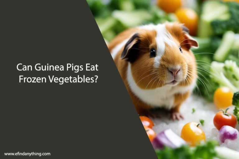 Can Guinea Pigs Eat Frozen Vegetables