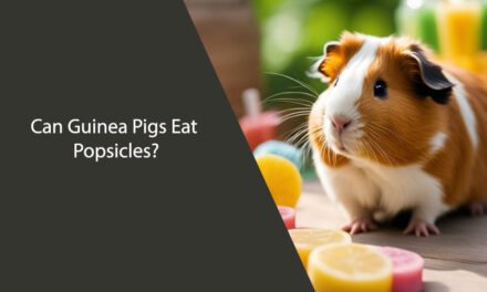 Can Guinea Pigs Eat Popsicles? A Comprehensive Guide