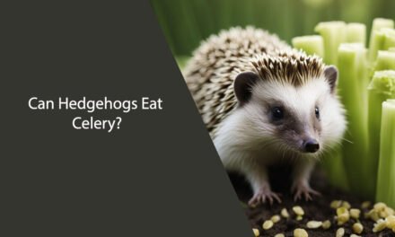 Can Hedgehogs Eat Celery?