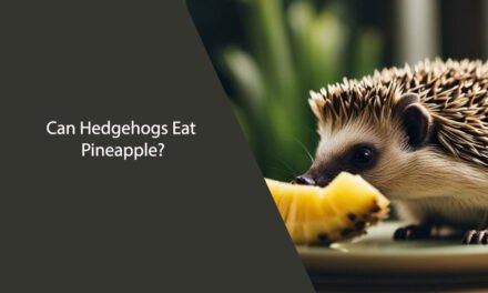 Can Hedgehogs Eat Pineapple?