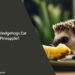 Can Hedgehogs Eat Pineapple