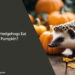 Can Hedgehogs Eat Pumpkin