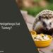 Can Hedgehogs Eat Turkey