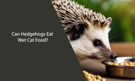 Can Hedgehogs Eat Wet Cat Food?