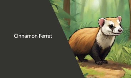Cinnamon Ferret: Facts, Care, and Characteristics