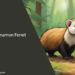 Cinnamon Ferret