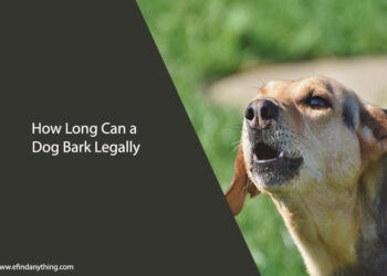How Long Can a Dog Bark Legally