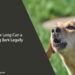 How Long Can a Dog Bark Legally