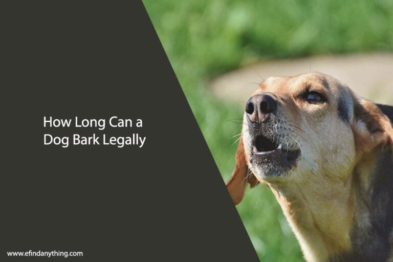 How Long Can a Dog Bark Legally