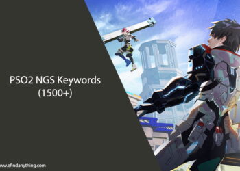 PSO2 NGS Keywords