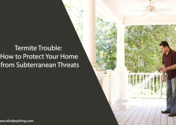 Termite Trouble: How to Protect Your Home from Subterranean Threats