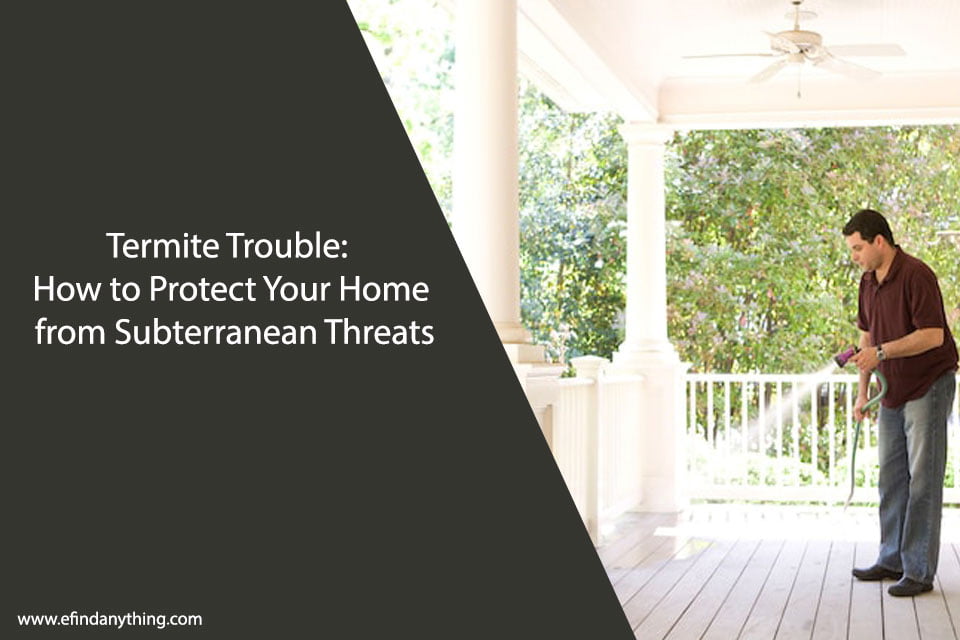 Termite Trouble: How to Protect Your Home from Subterranean Threats