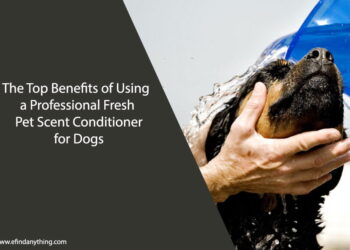 The Top Benefits of Using a Professional Fresh Pet Scent Conditioner for Dogs
