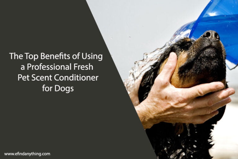 The Top Benefits of Using a Professional Fresh Pet Scent Conditioner for Dogs