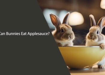 Can Bunnies Eat Applesauce