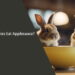 Can Bunnies Eat Applesauce