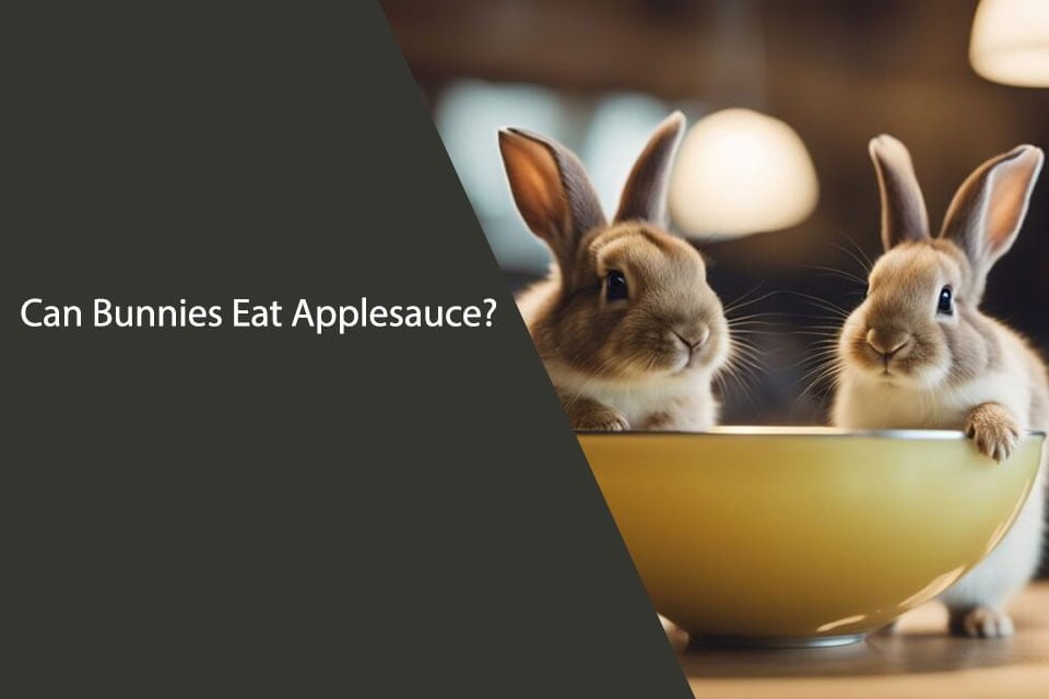 Can Bunnies Eat Applesauce