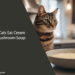 Can Cats Eat Cream of Mushroom Soup
