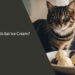 Can Cats Eat Ice Cream