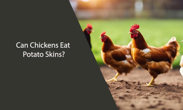 Can Chickens Eat Potato Skins?