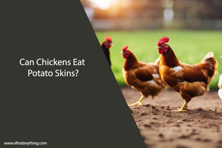 Can Chickens Eat Potato Skins