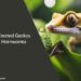Can Crested Geckos Eat Hornworms
