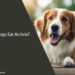 Can Dogs Eat Activia