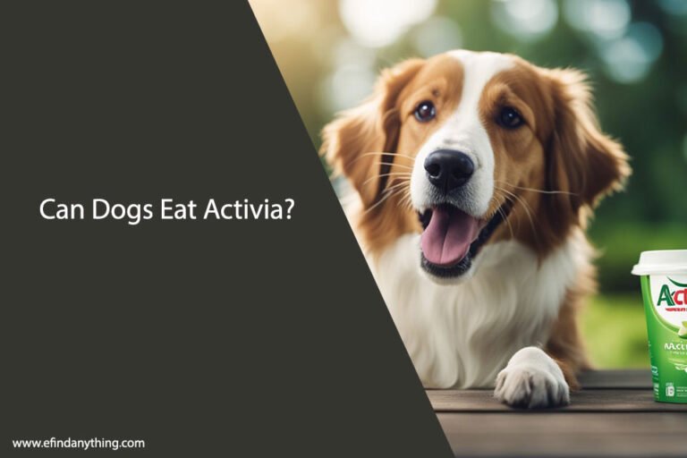Can Dogs Eat Activia