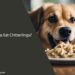 Can Dogs Eat Chitterlings