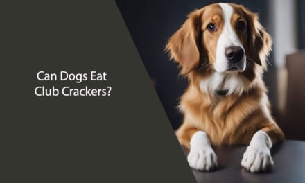 Can Dogs Eat Club Crackers?