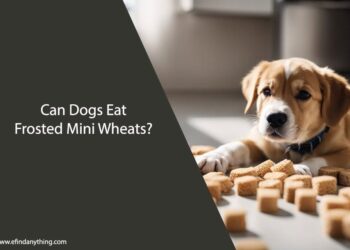 Can Dogs Eat Frosted Mini Wheats