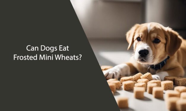 Can Dogs Eat Frosted Mini Wheats?