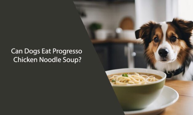Can Dogs Eat Progresso Chicken Noodle Soup?