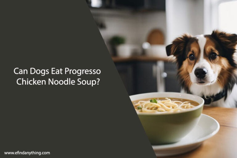 Can Dogs Eat Progresso Chicken Noodle Soup