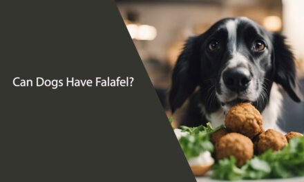 Can Dogs Have Falafel? A Comprehensive Guide