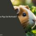 Can Guinea Pigs Eat Kohlrabi