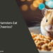 Can Hamsters Eat Cheerios
