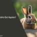 Can Rabbits Eat Apples