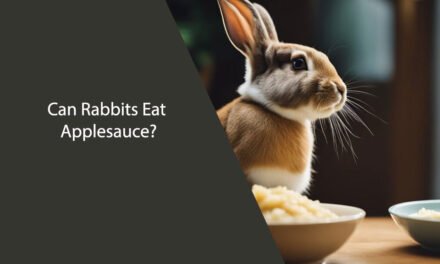 Can Rabbits Eat Applesauce?