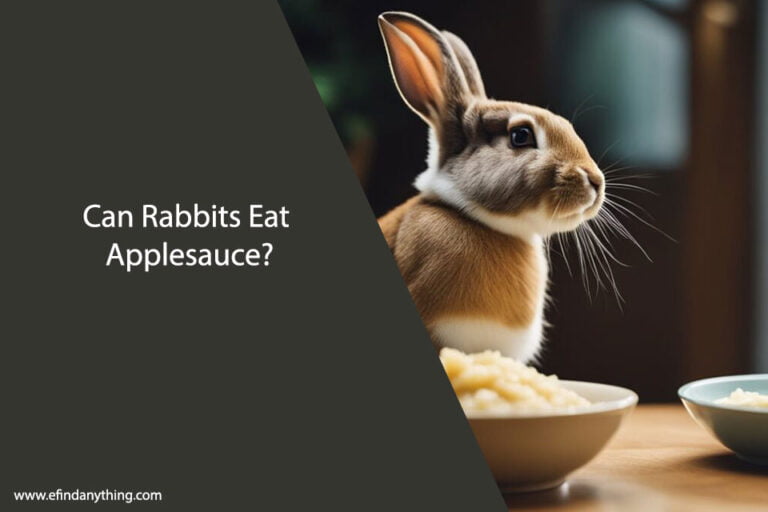 Can Rabbits Eat Applesauce