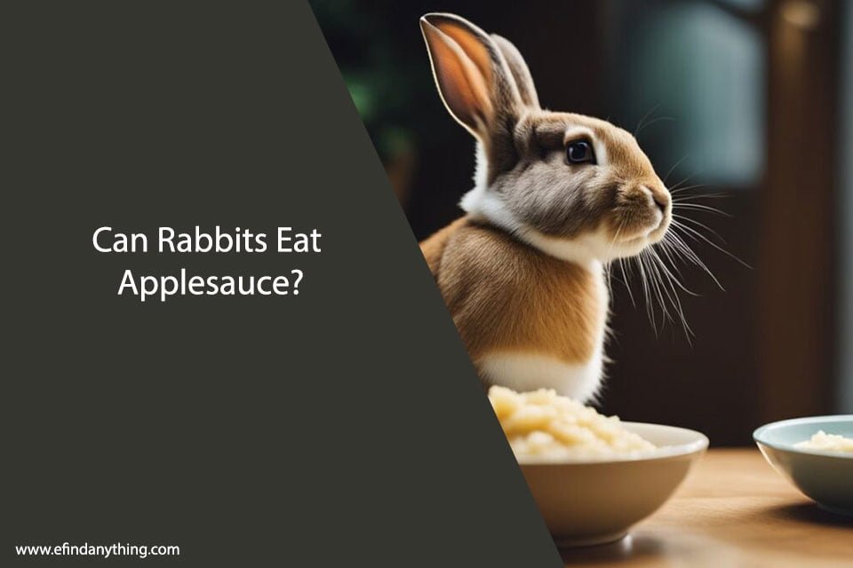 Can Rabbits Eat Applesauce
