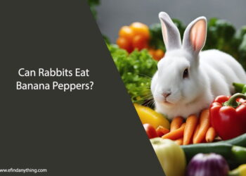 Can Rabbits Eat Banana Peppers