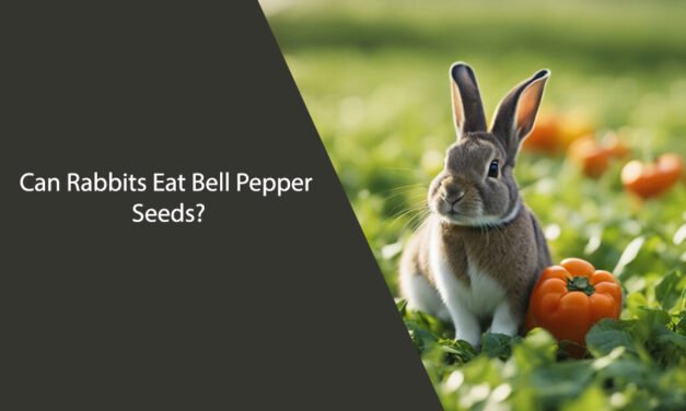 Can Rabbits Eat Bell Pepper Seeds? A Comprehensive Guide