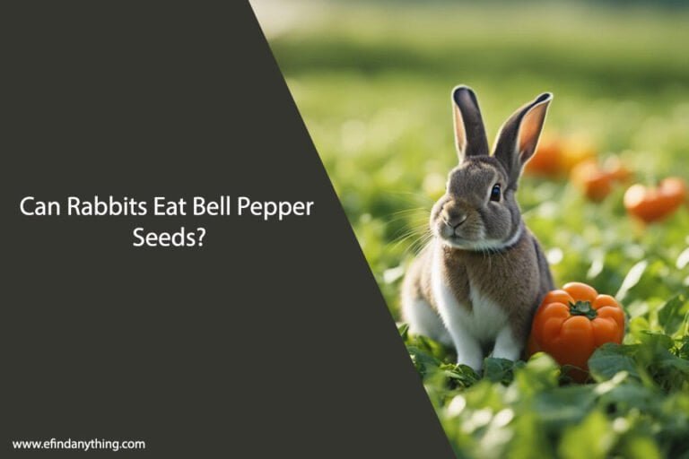 Can Rabbits Eat Bell Pepper Seeds