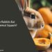 Can Rabbits Eat Butternut Squash