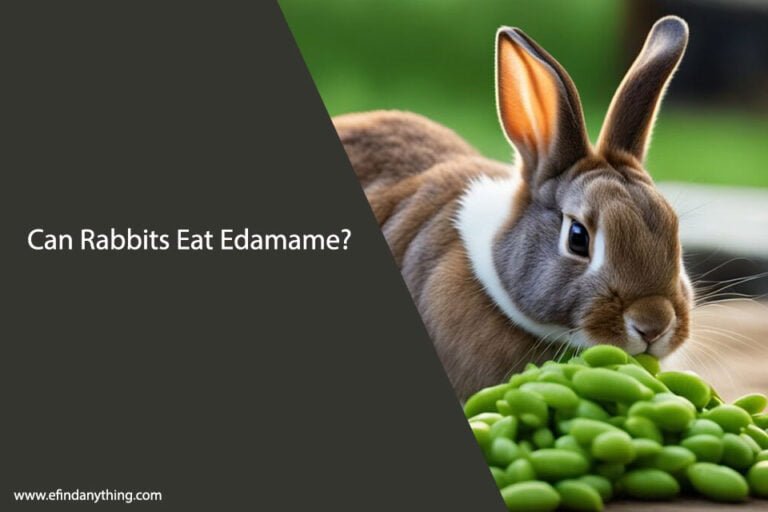 Can Rabbits Eat Edamame